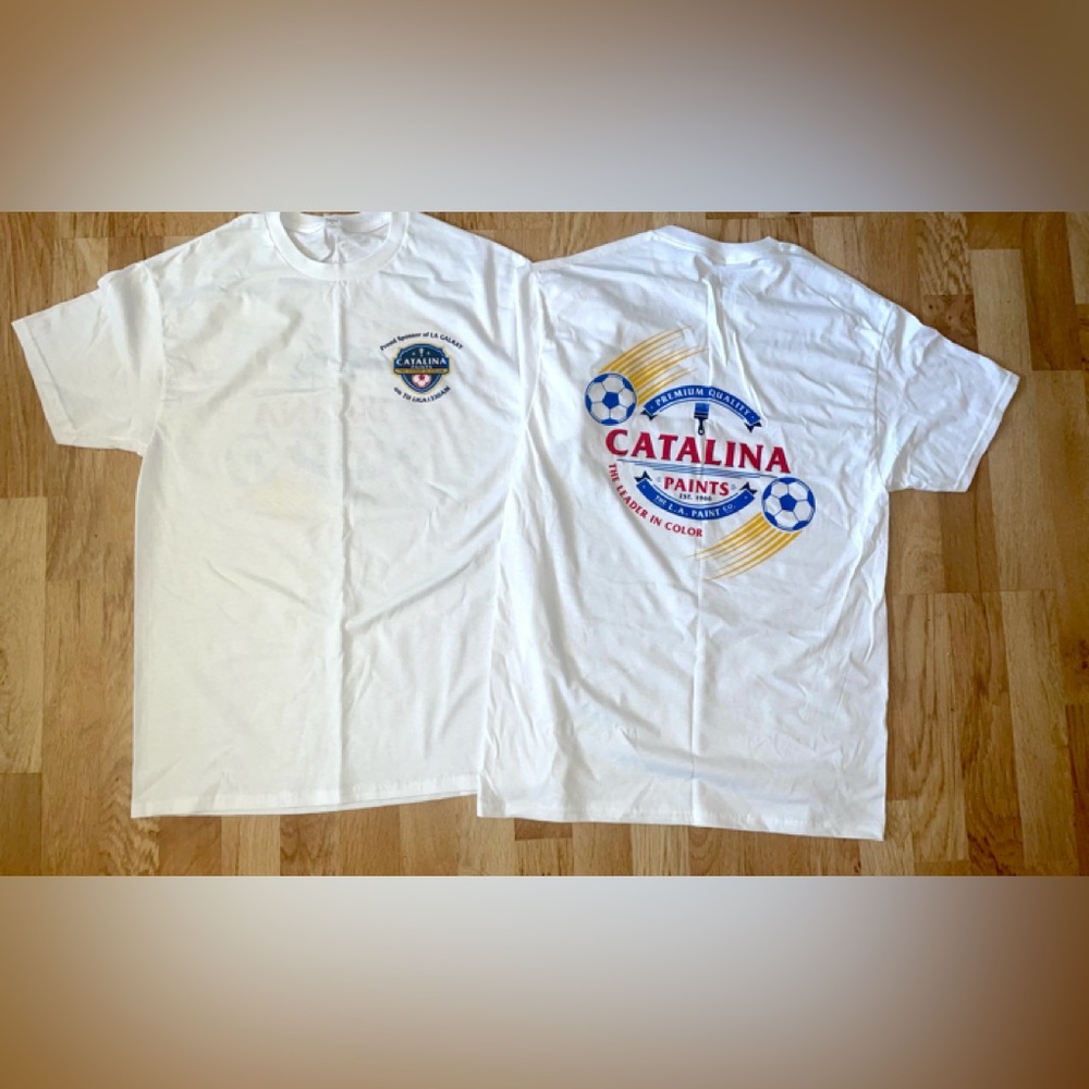 LOT OF 2 FRUIT OF THE LOOM CATALINA PAINT MENS T-SHIRTS GALAXY LOGO M COTTON